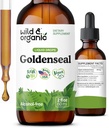 Wild & Organic Goldenplace Root Tinktúra - Lung Cleanse, Immune & Digestive Supplement - Liquid Goldenplace Supplement - Vegan, Sugar & Alcohol- Free Herb Drops - 2 fl oz