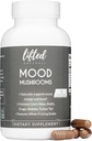 Mood Gomba - Emelkedett gomba kiegészítés - Oroszlán sörény, Reishi, Chaga, Törökország farok, Maitake - Energia, Fókusz, Stressz Relief