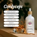 Rainbo - Cordyceps Gomba tinktúra - Dual Extract Gomba kiegészítés - Immuntámogatás, Energia, Folyékony Cordyceps kiegészítés, Vegan, Nem GMO, 3.4 fl oz
