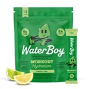 Waterboy Workout Hydration 124; 2,960mg Sugar Free Electrolyte Powder Packaets