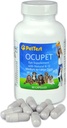 Ocupet Advanced Vision and Eye Health Supplement for Medium to Big Dogs Packed with Natural B12, Grape Seed Extract and Lutein to Support Pets with Diabetes or Eye Related Conditions - 90 Capsules