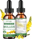 Mullein cseppek tüdők, erős tüdő Cleanse Detox füstölő, szerves mullein és klorofill cseppek tüdők, mullein levélkivonat tüdő és bronchia, légzőszervi egészség, immun boost 2 FL / OZ