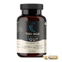 TERRA ORIGIN Egészséges Gut Reset PM 124; 60 Veggie Capsically 124; Natural Sleep Aid Supplement for Sleep & Wake Cycles