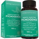 Viva Naturals Pycnogenol - 100mg francia tengeri fenyő kéreg kivonat - Támogatja a körforgást, antioxidáns- szerű tevékenység, ízek és immun egészség és funkció - 60 Veggie kapszula