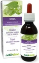 Naturalma Hops (Humulus lupulus) strobilus vagy Cone (Nő virágok) Alkoholmentes tinktúra - 4 fl oz Folyékony kivonat cseppenben - Herbal kiegészítés - Vegan