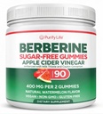 Sugar-Free Apple Cider Ecet Gummies felnőttek (90 sajt) - szűretlen, Detox ACV Gummies az anya a Gut Health, Energy, Digestion & Immune Support - No more Capsules, Pills or Acid Reflux