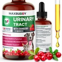 MaxBuddy Natural UTI Treatment Support - Áfonya Trakt Infekciós és Prevention Assistance macskáknak és kutyáknak - Kidney & Bladder Wellness Supplement Drops - Support for Urine Flow