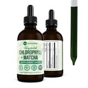360 Táplálkozás Matcha Chlorophyll folyékony cseppek L- Theanine, glutén szabad & Vegan belső dezodor kiegészítés, Támogatja a gut egészség, emésztés, energia, sugárzó bőr, gyors abszorpció, 60 szervadékok