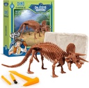 Geoworld Triceratops Dino Dig Kit - Gyülekező 8-Inch Hiteles Dinosaurus Skeleton Model - Ultimate STEM Learning Experience for Kids Ages 6 +