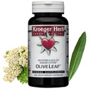 Kroeger Herbs, Olive Leaf kivonat kapszula immunrendszer, Olive Leaf & Yarrow kiegészítés, vegetáriánus, non-GMO, glutén mentes, nincs tartósítószer - 100 kapszula, készült USA