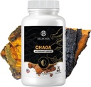 Chaga Mushroom Gummis — Antioxidante Immununterstützungsergänzung - Nahrungsergänzungsmittel - 60 Gummi - Made in USA - Shrooms for Health - Organic Vegan Frendly