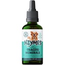 Nzymes® Tracite Mineralstoffe für Haustiere - Fulvic Acid, Huminsäure und eisenbasierte Trace Mineraltropfen und Aminosäuren für ATP Energy und Verdauungsmedizin - Made in USA
