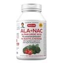ANDREW LESSMAN ALA + NAC Alpha Lipoic Acid mit N-Acetyl-Cystein 360 Kapseln - Ultra-High Potency, Anti-Oxidant-Unterstützung für Nervensystem, Herz, Gehirn, Leber, Nieren, Lunge, Energie. Keine Zusatzstoffe