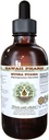 Muira Puama Alcohol- Free Liquid Extract, Organic Muira Puama (Ptychocetalum Olacoides) Glicerit Natural Herbal Supplement, Hawaii Pharm, USA 4 oz
