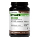 BODI Recover Plant-alapú fehérje por blend- poszt- Edzés csokoládé Plant-alapú kiegészítése izom helyreállítás 20g fehérje, BCAA, gránátalma kivonat - gyors helyreállítás - 20 Serving Tub