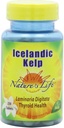Nature 's Life Kelp, izlandi, 41 Mg, Laminaria Digitata, 250 tabletta, (2 darabos csomag)