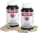 Kroeger Herb Products Candida Formula # 1 és # 2, Chale Supplement for Women & Men - Támogatja a normál szint az Élesztő és Candida
