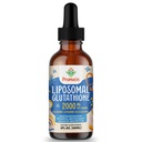 2000MG Liposomal Glutathione Liquid, 98% Abszorpció, Aktív forma L- Glothione Supplement, Vegan Friendly, Powerful Antioxidant Complex for Immune System, Aging Defense, Detox, 2 FL.OZ