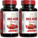 URIC Säure-Unterstützung - Uric Acid-Unterstützung für Erwachsene, Tart Kirsch Extrakt Kapseln, Gelenk & Muskel Komfort, Non-GMO, Uric Acid Vitamin - 2 Flaschen 120 Kapseln