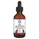 C60 Power for Pets - C60 in Organic MCT Coconut Oil, Natural Wellness Support for Dog & Cats, Pure Carbon Fullerenes, Promotes Egészséges öregedés, Energy, & Mobility - 2 fl oz Tartály