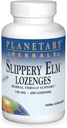 PLANETÁRIS HERBALS Slippery Elm Lozenges, ízesítetlen, 200 gróf