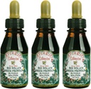 3 üveg Apiario Silvestre Bee Pollen & Brazil Zöld Bee Propolis Folyékony - Glycolic Extract- Nem Alkoholos, Wax Free, Sugar Free