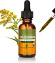 Herb Pharm Certified Organic Goldenrod Folyékony kivonat húgyúti rendszer támogatása, 1 Fl Oz (csomag 1)