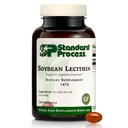 Standard Folyamat Szójabab Lecitin - Brain Health Support Supplement - Nutritional Whole Food- Based Supplement with Essential Fatty Acids from Soybean Lecithin - 240 Softgels