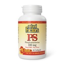 Natural Factors, Foszfatidilserine, Support for Memory, Concentration and Brain Functions, Soy and Gluten Free, 60 Softgels