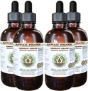 Hawaii Pharm Oregon Grape Alcohol- Free Liquid Extract, Oregon Grape (Mahonia aquifolium) Szárított gyökér- és gyomirtó természetes növényi kiegészítés, USA 4x4 fl.oz