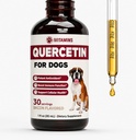 Quercetin kutyáknak