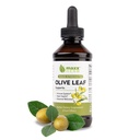 Maxx Herb Olive Leaf kivonat - Max Strength Oleuropein Liquid Absorbs Jobb, mint kapszula vagy tea, Immune Support, Heart Health, és Szezonális Wellness - 4 Oz palack (60 Servings)