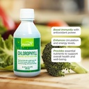 FUNAT Klorofill Plus folyékony természetes mentával Flavor - Nutrit- Rich Green Supplement for Energy & Wellness, Easy- to- Use Drops - 8.1 FL OZ