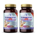 Solgar Kangavites, Bouncin 'Berry Flavor - 120 rágótabletta, 2-es csomag - Teljes multivitamin és ásványi képlet gyerekeknek - Vegán, glutén mentes