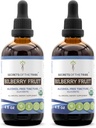 A Tribe Bilberry Alcohol- Free Liquid Extract, USDA Organic Bilberry (Vaccinium Myrtillus) Szárított gyümölcs tinktúrás kiegészítése (2x4 FL OZ)