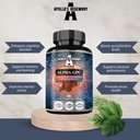 APOLLO 'S HEGEMONY Alpha- GPC 600 mg naponta - 90 Vegan Kolin kapszula - 99% Kolin Alfoszcerát Diétás kiegészítés - Lipid kolin - Memória és koncentráció kapszula
