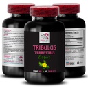 Stamina Power - TRIBULUS TERTRATIS EXTRACTS - Energy for activity, Energy Support Formula, Active Energy Support, Plant- Based Energy Boost, Activity Power, Active Workout Boost 1 Tartály 60 tabletta