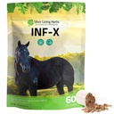 Silver Lining Herbs Equine INF- X - Támogatja a ló stressz enyhítése és egészséges szintjei jó baktériumok - Természetes támogatás a lófélék immunrendszere - gyógynövény kiegészítés lóméregtelenítés - 1 lb