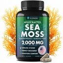Sea Moss kapszula - Irish Sea Moss Advanced with Burdock Root, Bladderwrack & Muira Puama for Immunity, Gut, & Energy - Superfood Sea Moss kiegészítők w / Raw Sea Moss Powder - 120 Ír Seamoss Pills