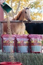 Mega dózis 40 lb, Lóvitamin Ásvány egy teljes szerving Ló Guard kiegészítés & Hoof Guard